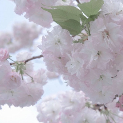 Furry插画构图实用思路FurryQQ群